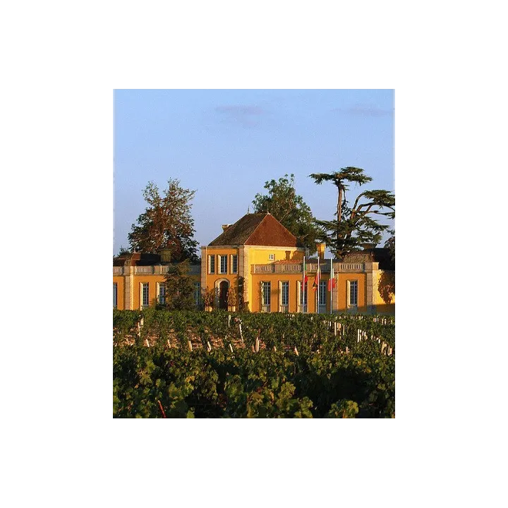 Les Pèlerins de Lafon-Rochet 2016