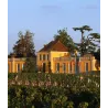 Les Pèlerins de Lafon-Rochet 2016