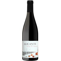 Alicante et les 40 buveurs 2017