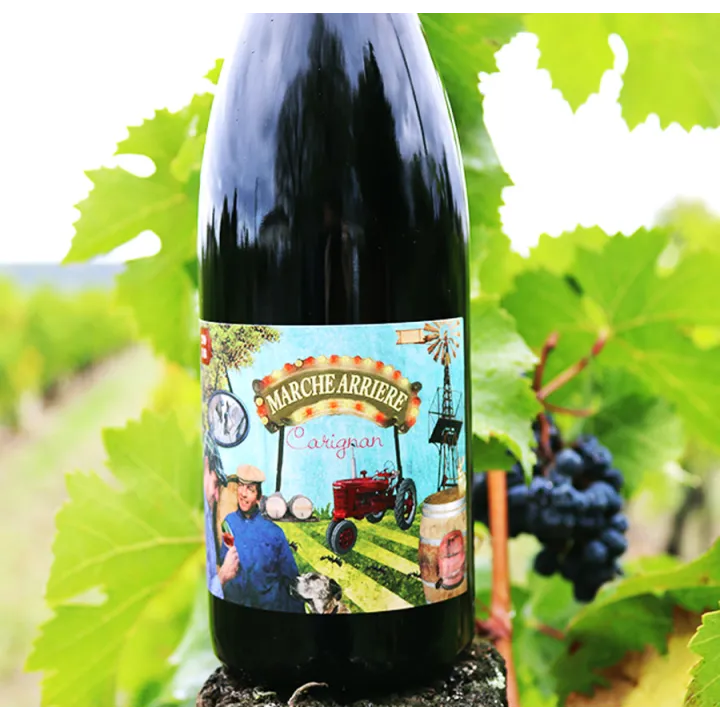Marche Arrière - Carignan IGP Gard Rouge 2019