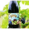 Marche Arrière - Carignan IGP Gard Rouge 2019