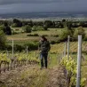 Tu m'intéresses ! VDF Rouge 2021