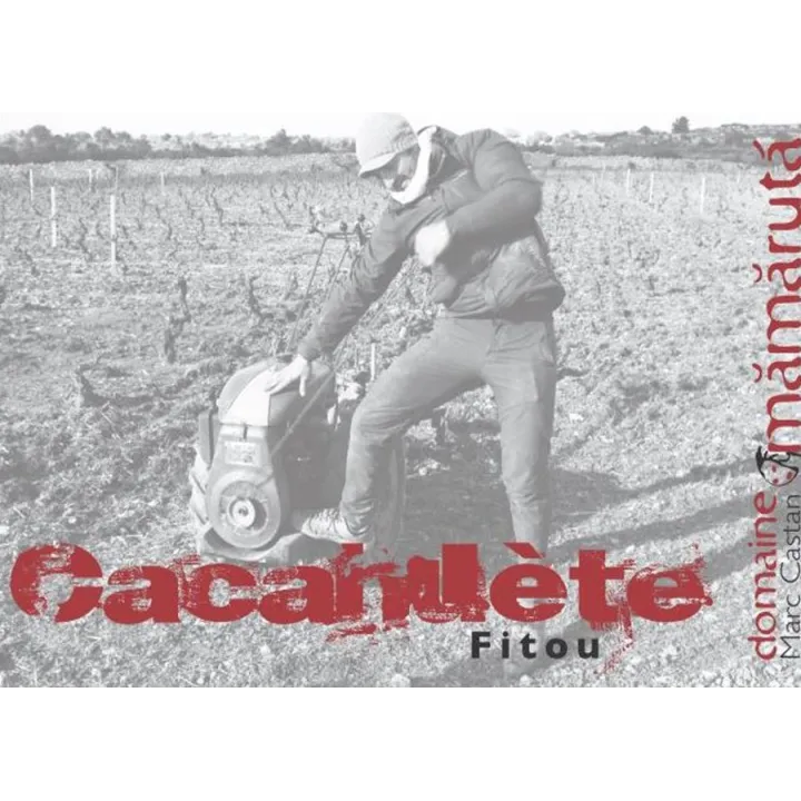Cacahuète - Fitou 2015