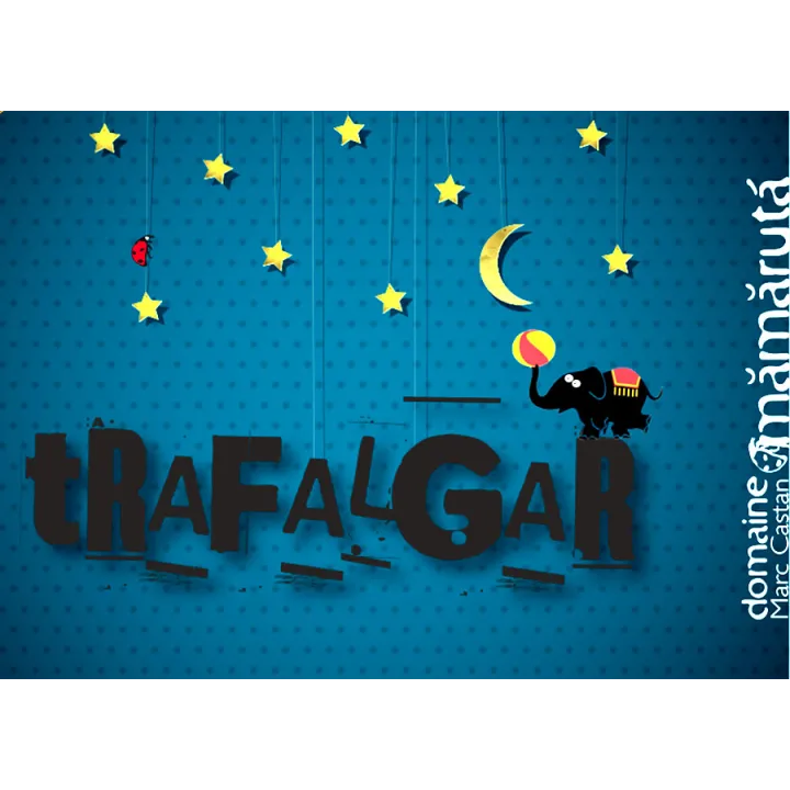 Trafalgar - VDF Orange 2021