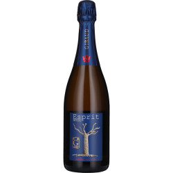 Champagne Henri Giraud - Esprit Nature 75cl