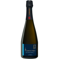 Champagne Henri Giraud - Hommage au Pinot Noir 75cl