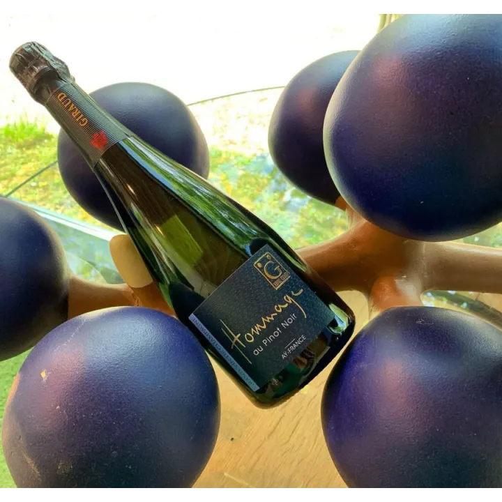 Champagne Henri Giraud - Hommage au Pinot Noir 75cl