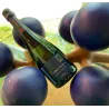 Champagne Henri Giraud - Hommage au Pinot Noir 75cl