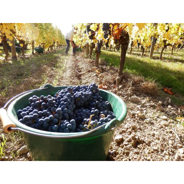 L'Enjouée VDF Rouge Bio 2021