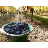 L'Enjouée VDF Rouge Bio 2021