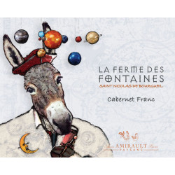 Clos des Quarterons La Ferme des Fontaines St Nicolas de Bourgueil 2020