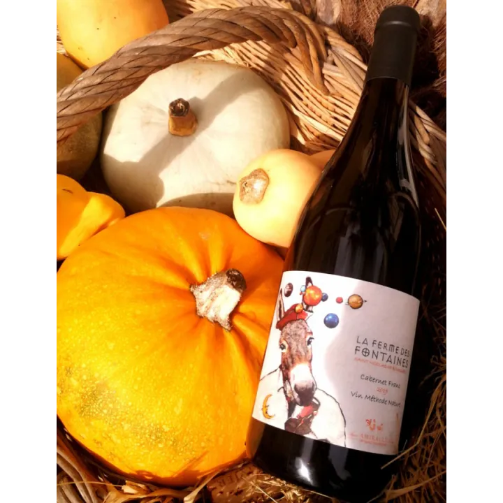 Clos des Quarterons La Ferme des Fontaines St Nicolas de Bourgueil 2020