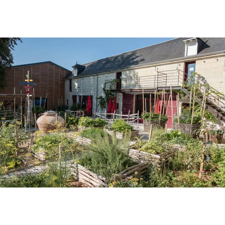 Clos des Quarterons La Ferme des Fontaines St Nicolas de Bourgueil 2020