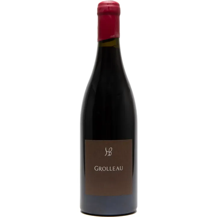 Domaine des Hauts-Baigneux Grolleau VDF Bio 2020