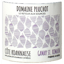 Domaine Pluchot - Pierre à Bois - Côte Roannaise 2021