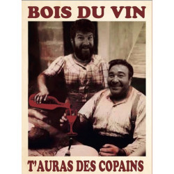 Benjamin Taillandier & Fabien Jouves - Bois du vin t'auras des copains 2020 (1L)