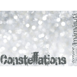 Constellations - VDF Blanc 2021