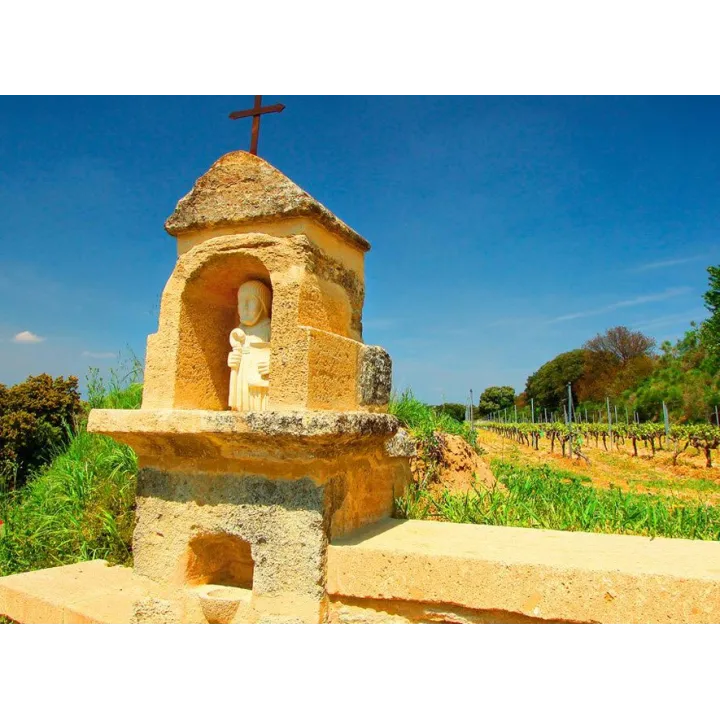 Clos de l'Oratoire des Papes Blanc 2021