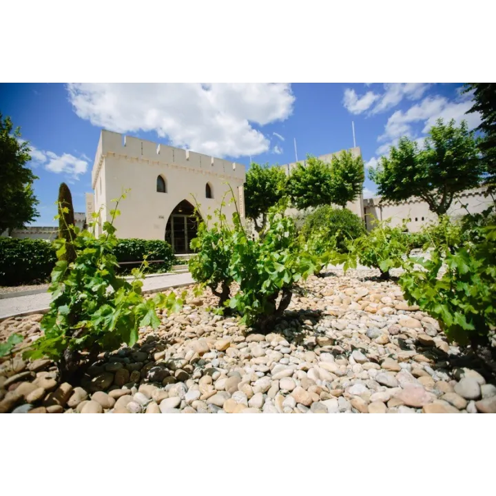 Clos de l'Oratoire des Papes Blanc 2021