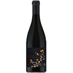 Chinon Rouge "La Singulière" 2014