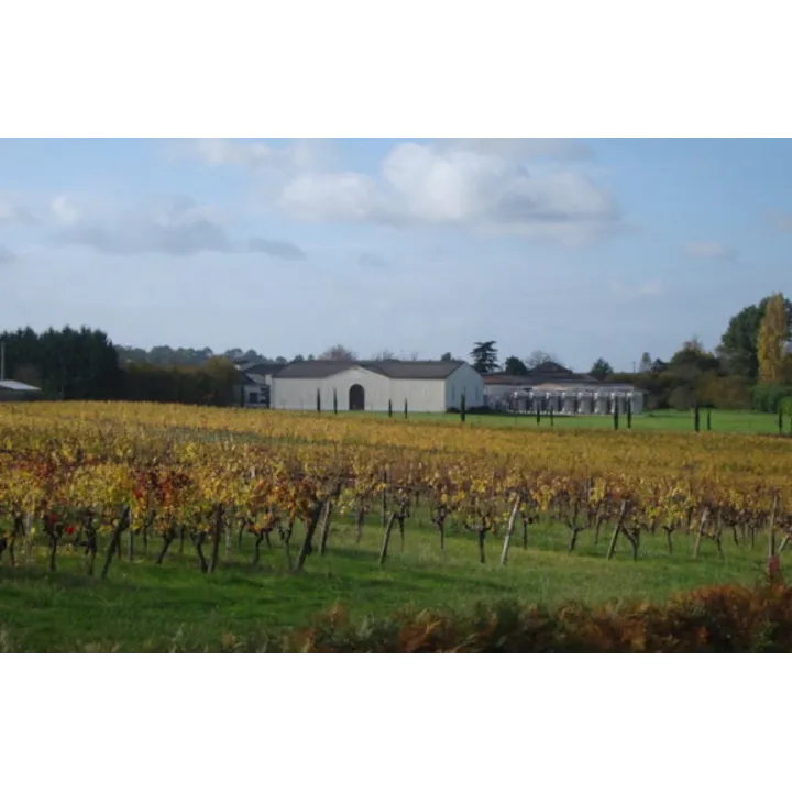 Château Lamothe-Vincent Réserve Blanc 2021