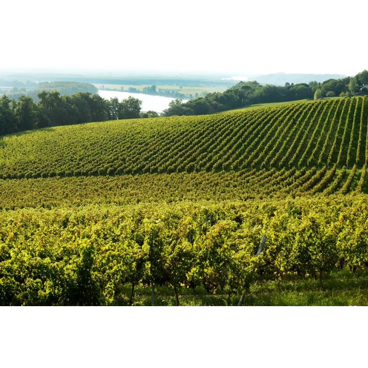Château Luchey Bordeaux Rouge 2021