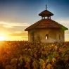 Dom Timothée Delalle - Le Four Blanc IGP Val de Loire 2020