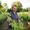 Dom Timothée Delalle - Le Four Blanc IGP Val de Loire 2020