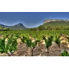 Comme une Evidence 2021 - Pic Saint Loup