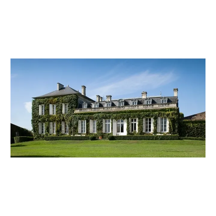 Château Talbot 2019