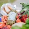 Cortese Piemonte DOP 2020