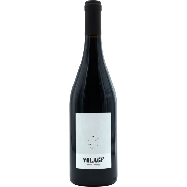 Volage - Saumur Champigny Bio 2022