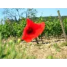 Volage - Saumur Champigny Bio 2022