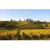 Chante Le Vent - Chinon Blanc Bio 2021