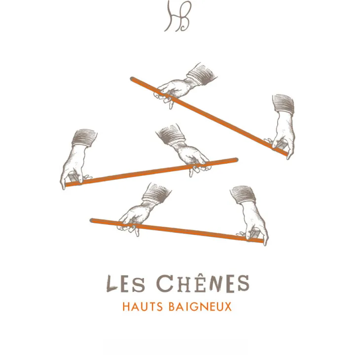 Domaine des Hauts-Baigneux  Les Chênes Sauvignon VDF Touraine blc 2021