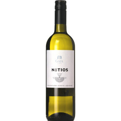 Notios White 2022