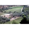 Notios White 2022