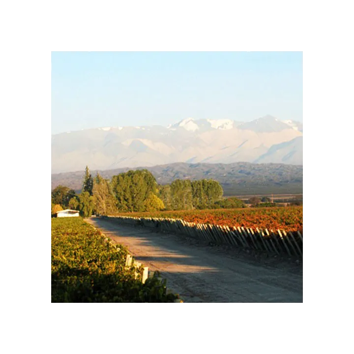 1492 Malbec - 2022