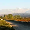 1492 Malbec - 2022