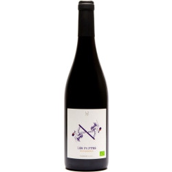 Domaine des Hauts-Baigneux Les Pentes Bio 2021