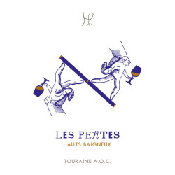 Domaine des Hauts-Baigneux Les Pentes Bio 2021