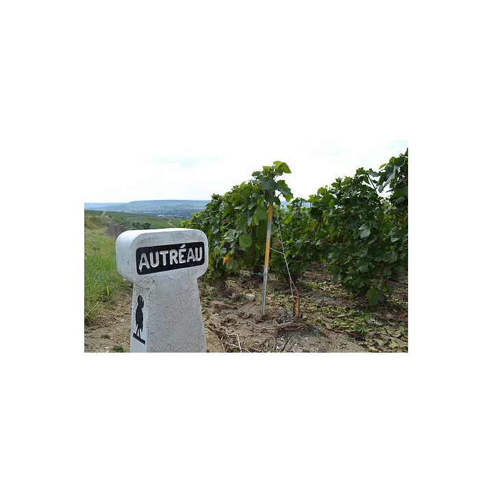 Champagne Autréau Brut 1er Cru