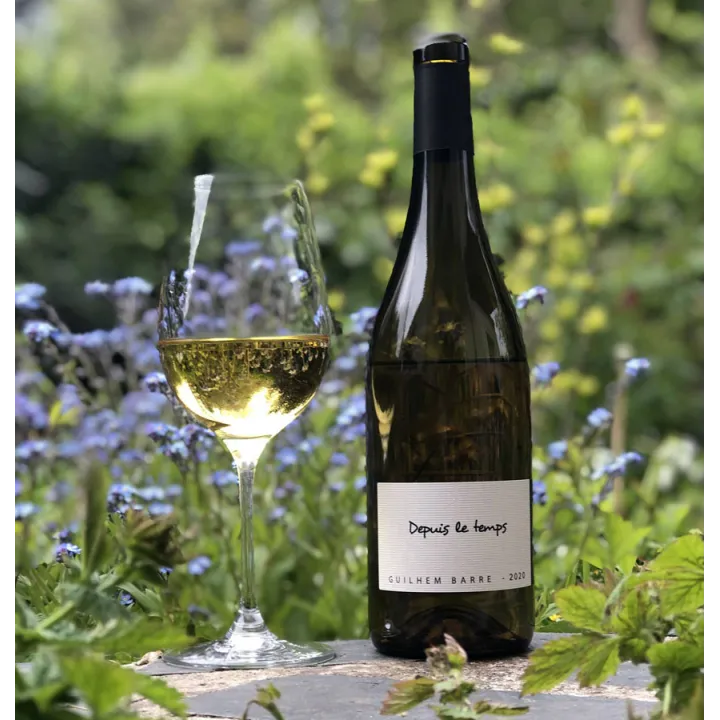 Depuis le Temps.... - VDF Blanc Languedoc Bio 2022