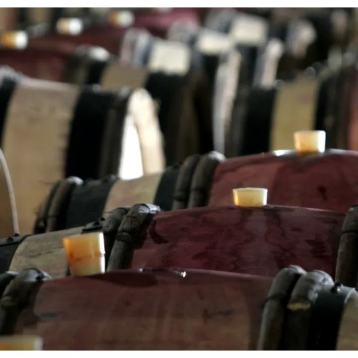 Chassagne-Montrachet Blanc 1er Cru "La Grande Montagne" 2014