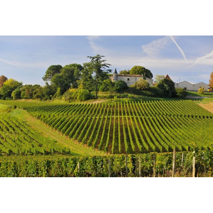Château Tour de Yon - Saint-Emilion Grand Cru 2020