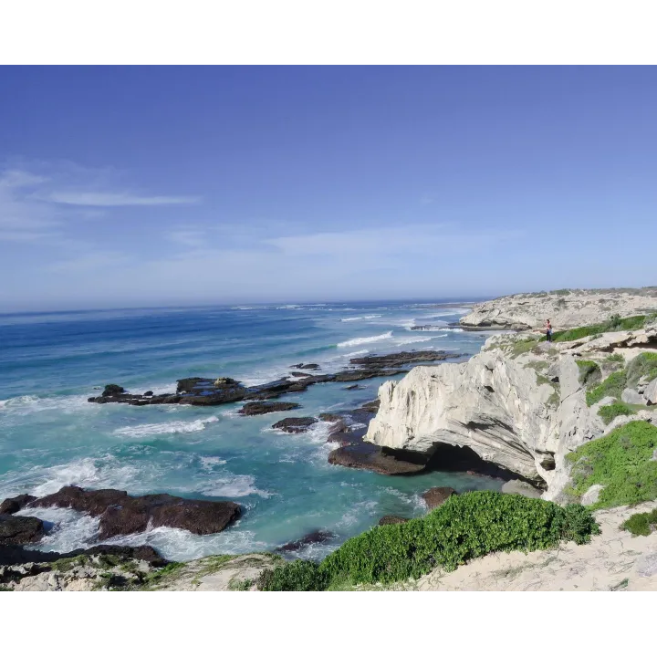 Arniston Bay - Sauvignon Blanc 2022