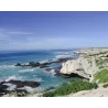 Arniston Bay - Sauvignon Blanc 2022