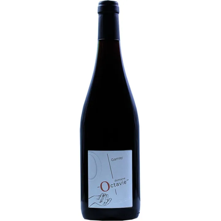 Touraine Gamay 2023