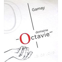 Touraine Gamay 2023